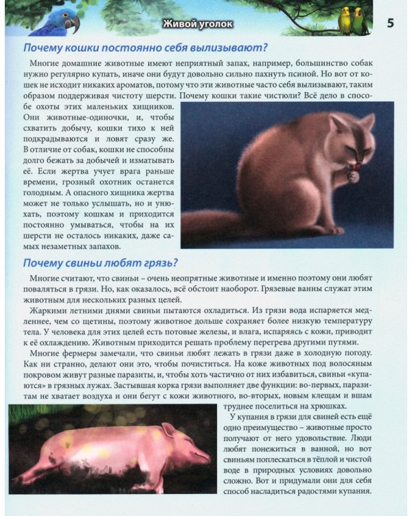 Обо всем на свете в вопросах и ответах