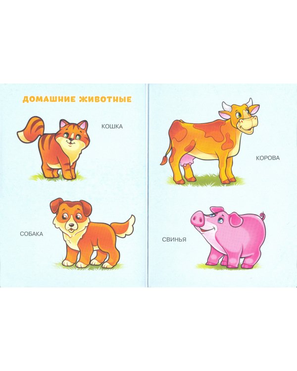 Первые слова