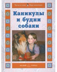 Каникулы и будни собаки