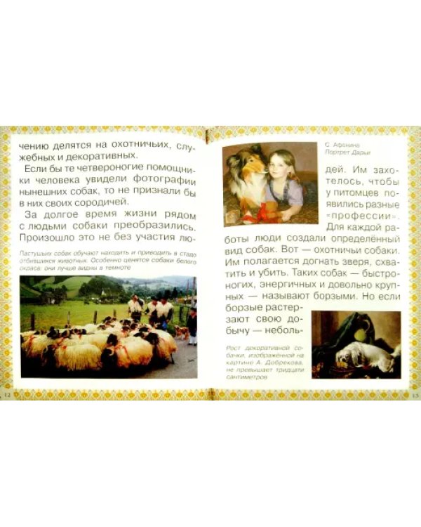 Каникулы и будни собаки