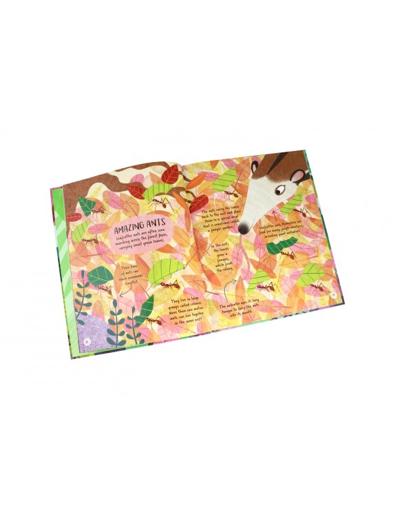 Дополнительное изображение книги «My First Book of Jungle Animals»