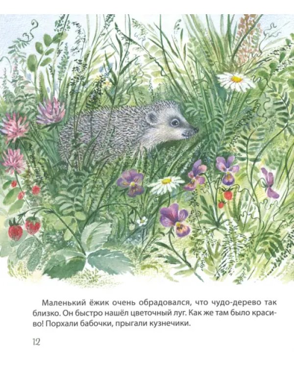 Дополнительное изображение книги «Самый маленький ежик»