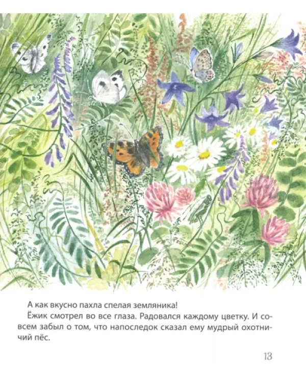 Дополнительное изображение книги «Самый маленький ежик»
