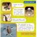 National Geographic. Энциклопедия для детей Животные. Моя первая энциклопедия