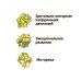 Развивающие игры из дерева. Игра-баланс. Равновесие