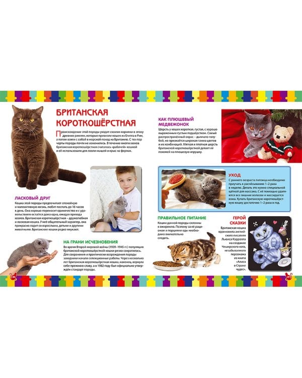 Кошки. Детская энциклопедия