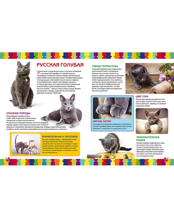 Кошки. Детская энциклопедия