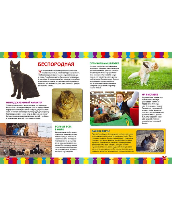 Кошки. Детская энциклопедия