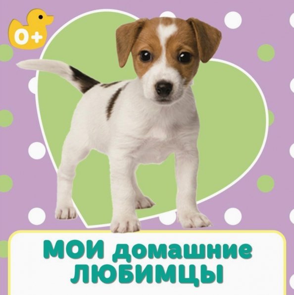 Книжки на картоне ЦК 5 145Х145 Мои домашние любимцы
