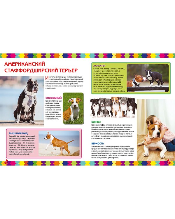 Собаки. Детская энциклопедия