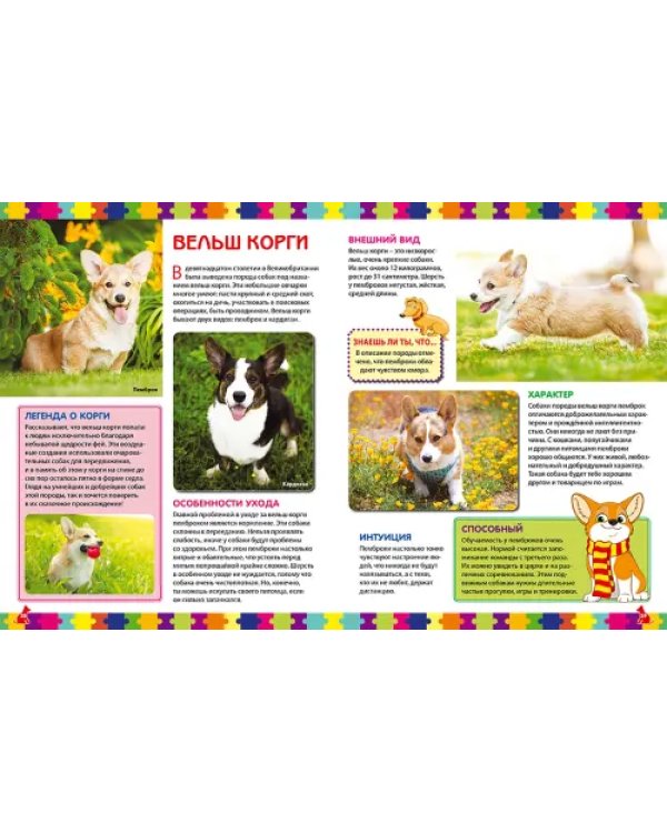 Собаки. Детская энциклопедия