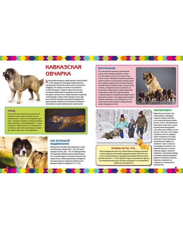 Собаки. Детская энциклопедия