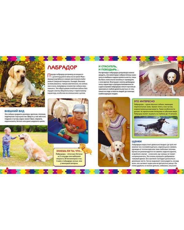 Собаки. Детская энциклопедия