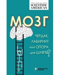 Мозг. Чердак, лабиринт или опора для шляпы?