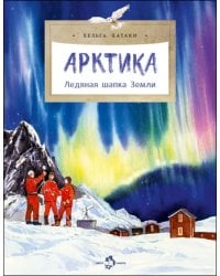 Арктика. Ледяная шапка Земли