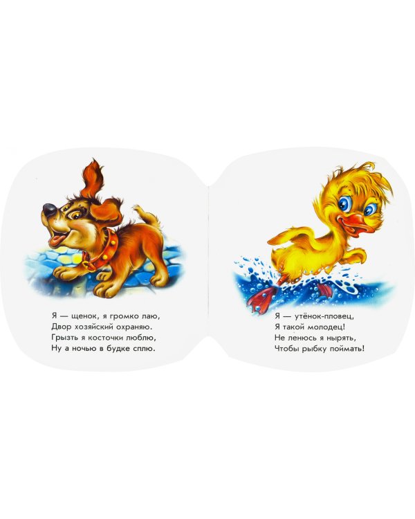 Домашние животные