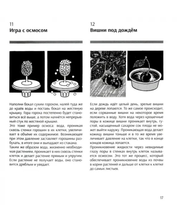 Занимательная наука. Более 400 экспериментов и наблюдений за природой