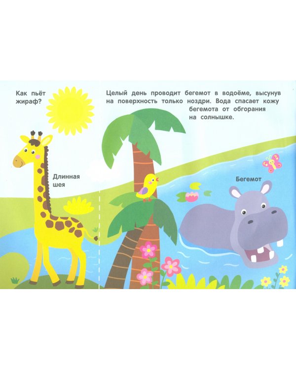 Кто живет в жарких странах? Волшебная книжка с клапанами
