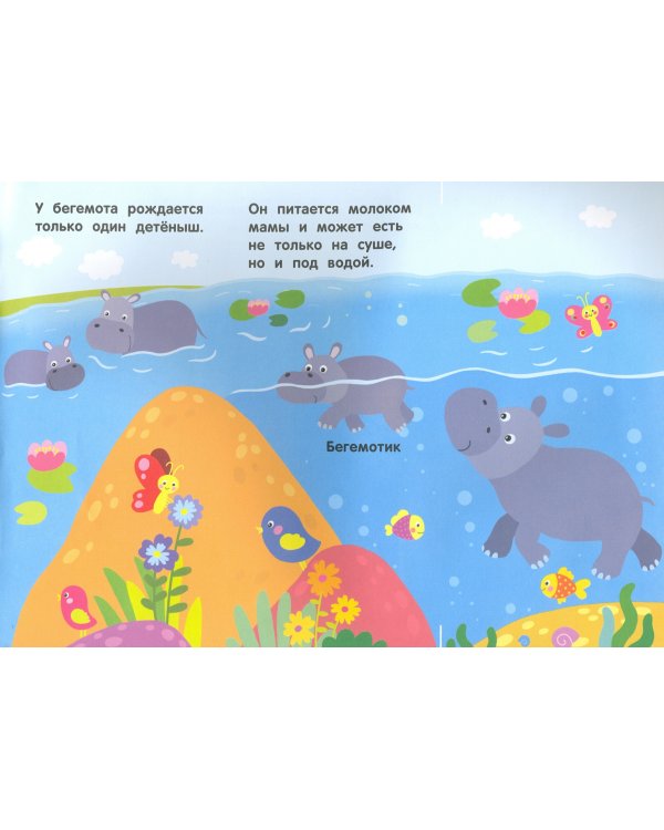 Кто живет в жарких странах? Волшебная книжка с клапанами