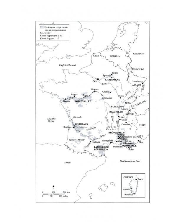 Красное и белое. Неутолимая жажда вина