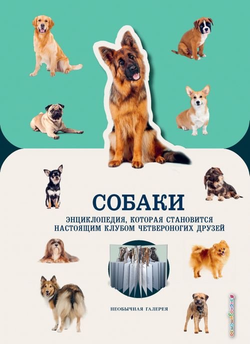 Необычная галерея Собаки