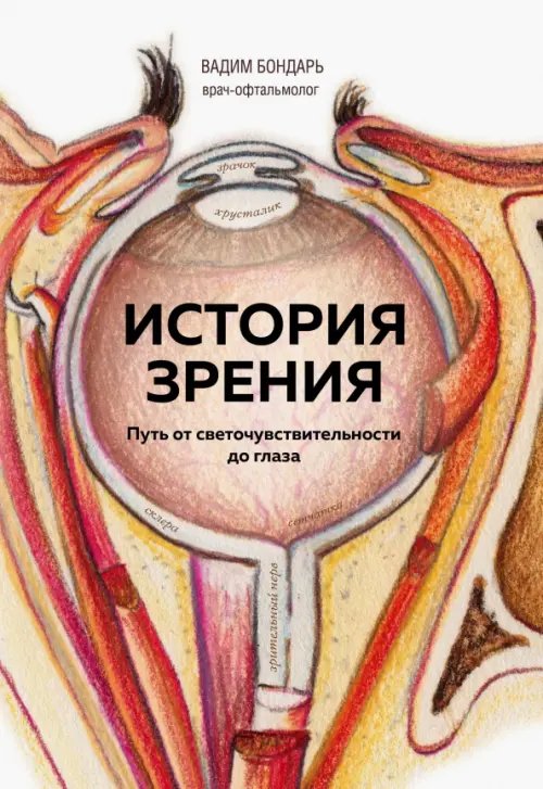 Доктора рунета. О здоровье понятным почерком История зрения. Путь от светочувствительности до глаза