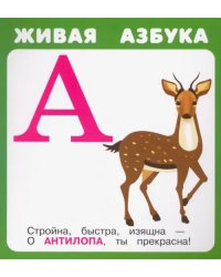 Набор карточек "Живая азбука", 27 карточек