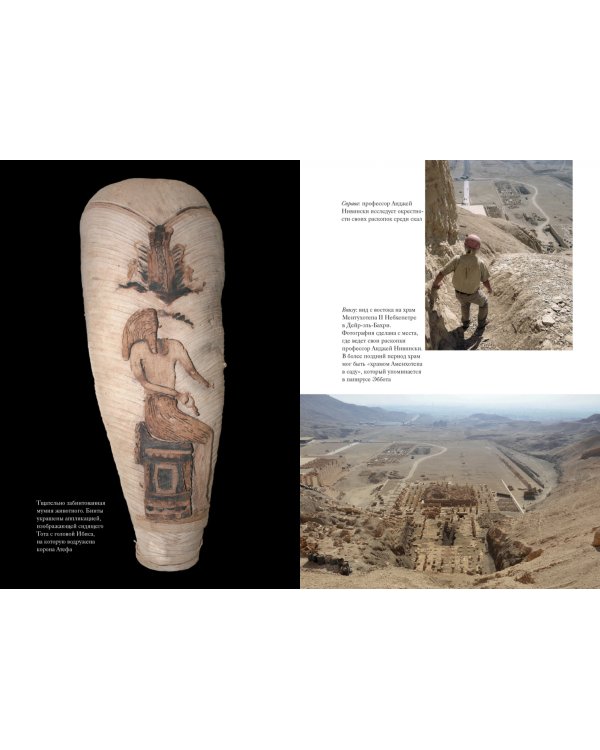 В поисках гробниц Древнего Египта. Тайны Нефертити, Александра Македонского, Клеопатры