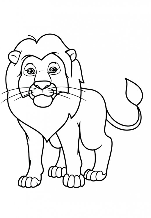 Суперраскраска 64стр. Забавные животные