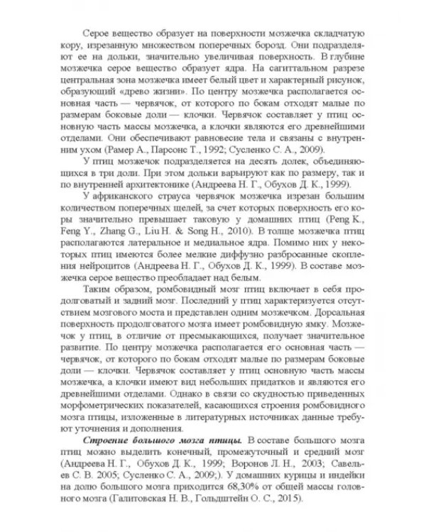 Морфология и васкуляризация головного мозга животных. Монография