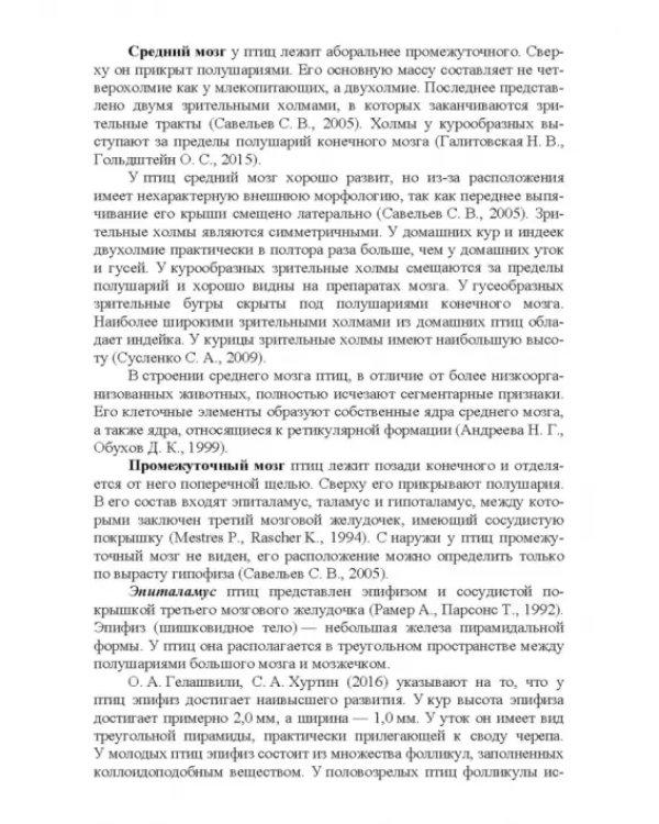 Морфология и васкуляризация головного мозга животных. Монография