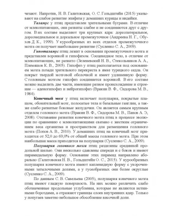 Морфология и васкуляризация головного мозга животных. Монография