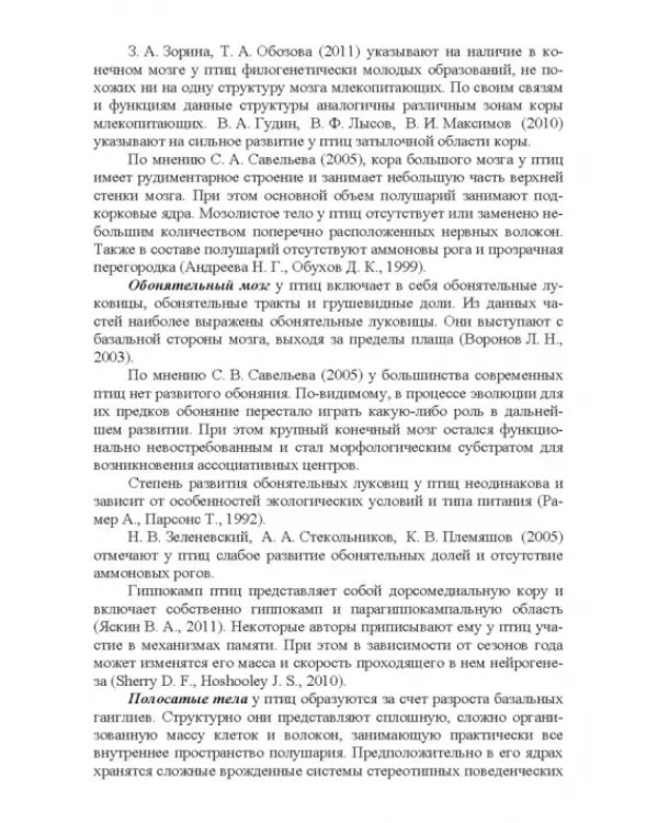 Морфология и васкуляризация головного мозга животных. Монография