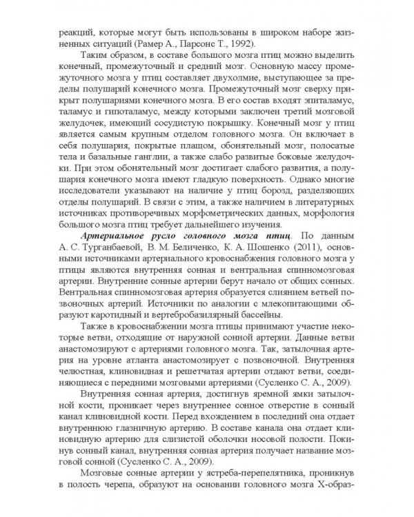 Морфология и васкуляризация головного мозга животных. Монография