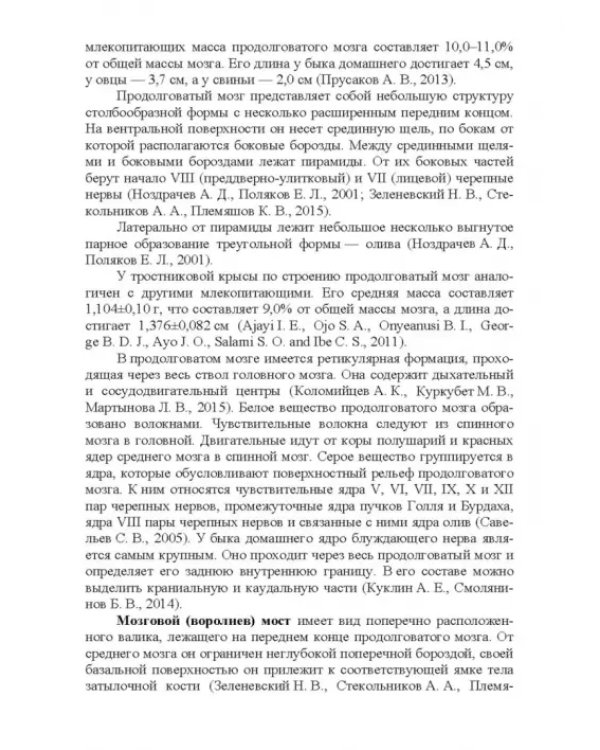 Морфология и васкуляризация головного мозга животных. Монография