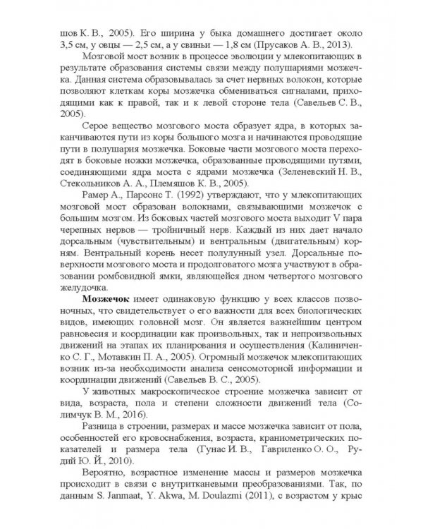 Морфология и васкуляризация головного мозга животных. Монография