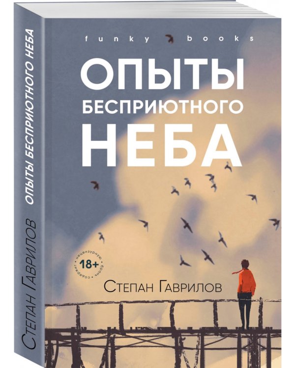 Опыты бесприютного неба