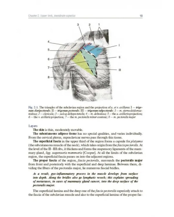 Topographic Anatomy and Operative Surgery. Textbook
