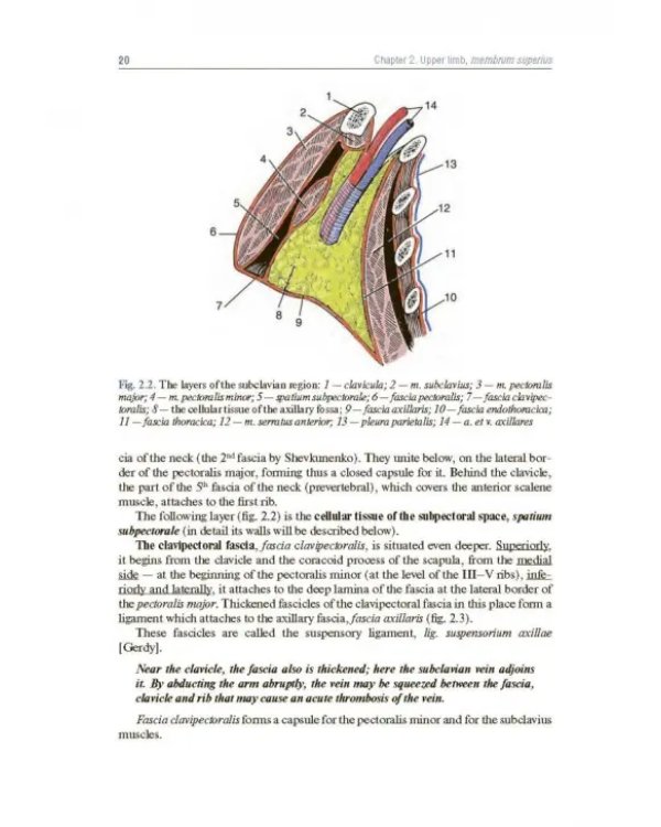 Topographic Anatomy and Operative Surgery. Textbook