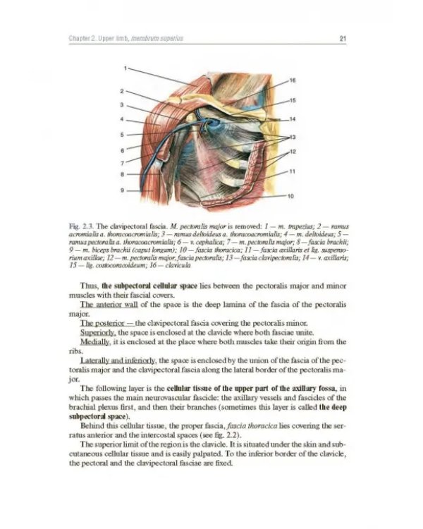 Topographic Anatomy and Operative Surgery. Textbook