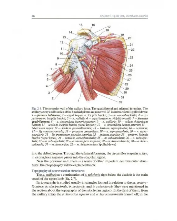 Topographic Anatomy and Operative Surgery. Textbook