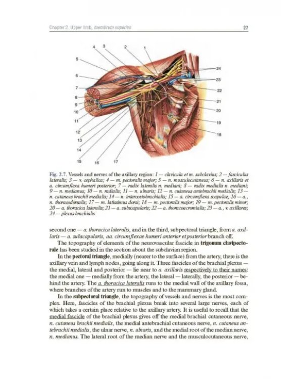Topographic Anatomy and Operative Surgery. Textbook