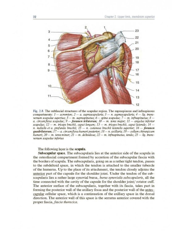 Topographic Anatomy and Operative Surgery. Textbook