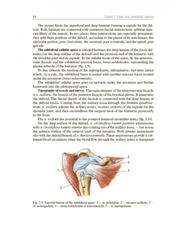 Topographic Anatomy and Operative Surgery. Textbook