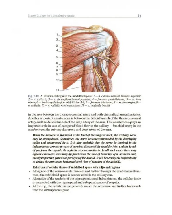 Topographic Anatomy and Operative Surgery. Textbook