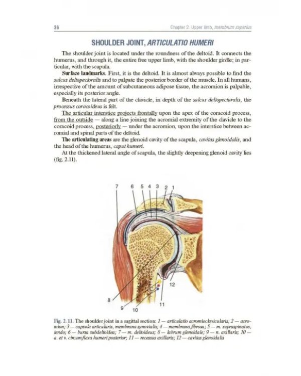 Topographic Anatomy and Operative Surgery. Textbook