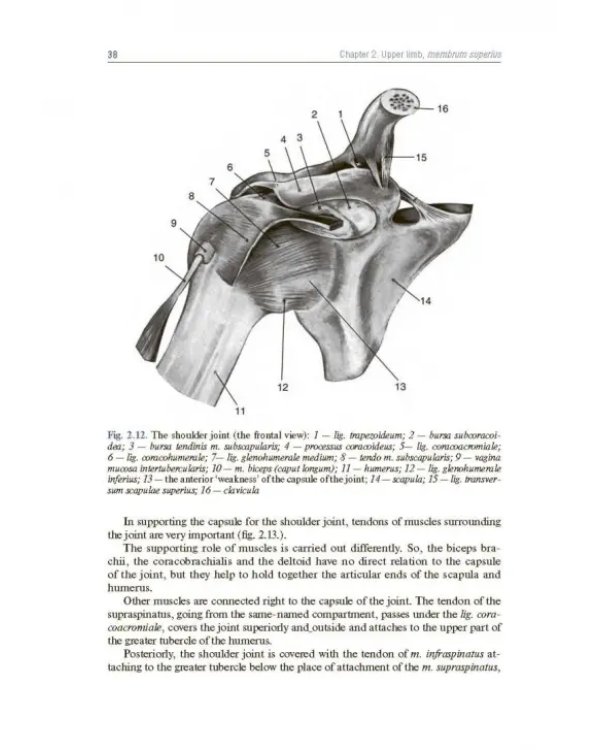 Topographic Anatomy and Operative Surgery. Textbook