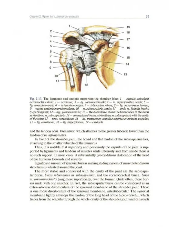 Topographic Anatomy and Operative Surgery. Textbook