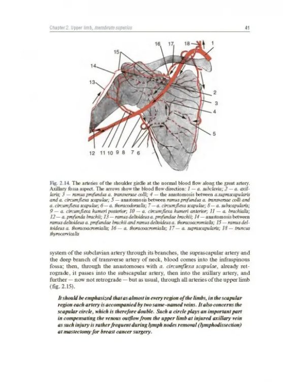 Topographic Anatomy and Operative Surgery. Textbook