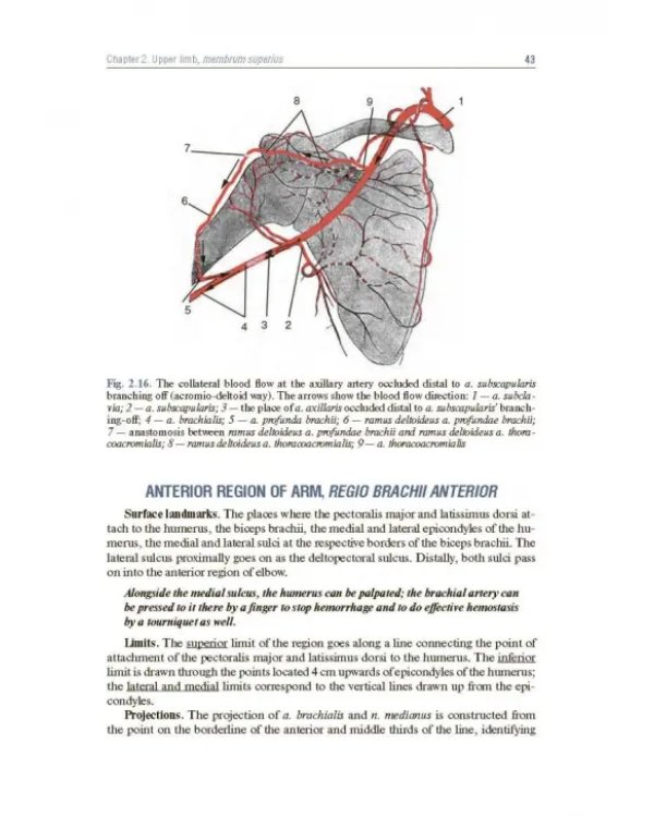 Topographic Anatomy and Operative Surgery. Textbook